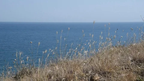 Seascape Stock Footage 94179311