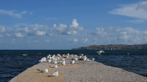 Seascape Stock Footage 94908728