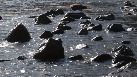 Seascape Stock Footage 114120478