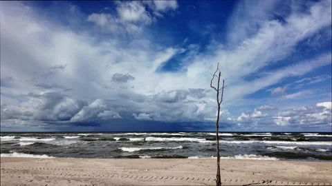 Seascape Stock Footage 318645650