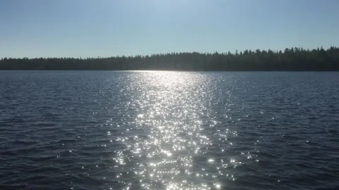 Seascape with a forest Stock Footage 299745182