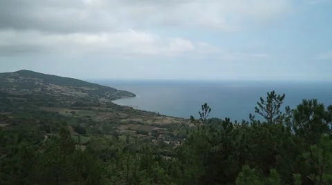 Seascape Forest Sinop Turkey Stock Footage 67365252