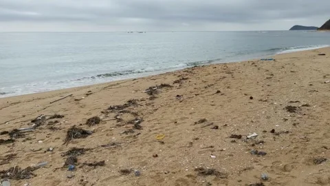 Seascape with garbage on a sandy beach Vidéo 141300764
