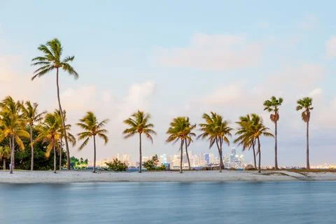 Seascape with head tree, head tree by the beach, palm tree, coconut tree Stock Photos
