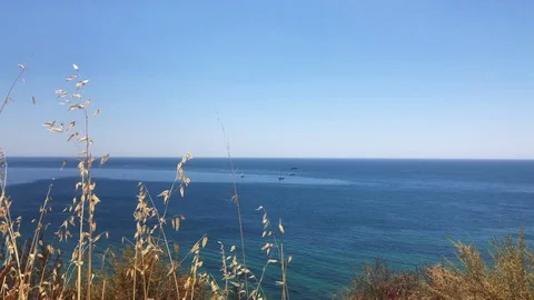 Seascape horizon background Stock Footage 93571823