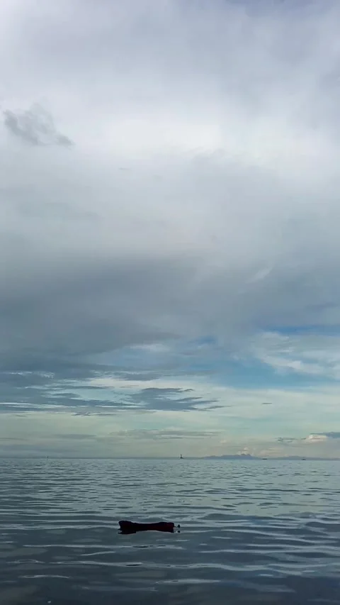 Seascape, leaf on the water Stock Footage 328991661