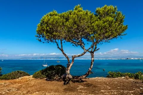 Seascape in majorca Stock Photos