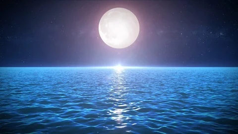 Seascape In The Moonlight Background Stock Footage 93340080