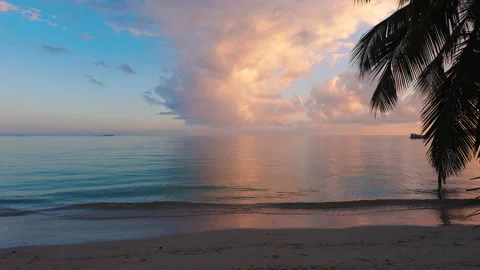 Seascape with palm tree, tropical beach and clear turquoise ocean water Stock Footage 170602789