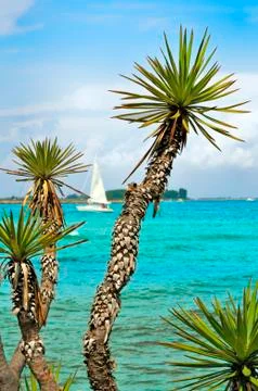 Seascape Stock Photos