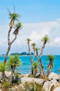 Seascape Stock Photos