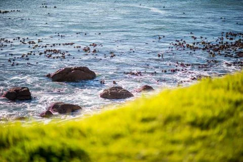 Seascape Stock Photos