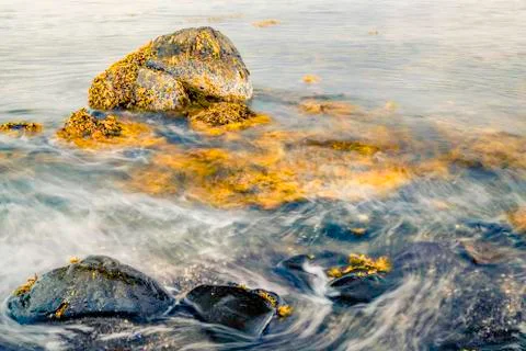 Seascape Stock Photos