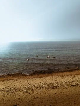 Seascape Stock Photos