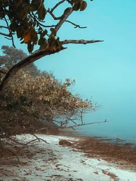 Seascape Fotos Stock