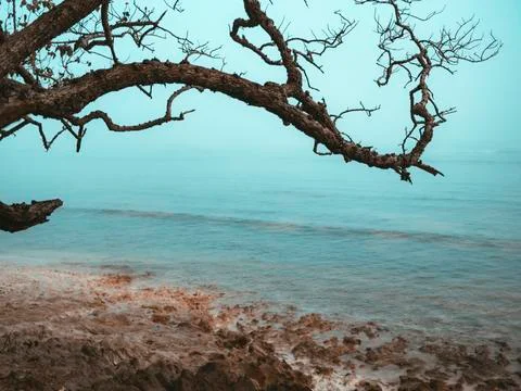 Seascape Fotos Stock