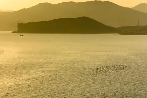 Seascape Stock Photos