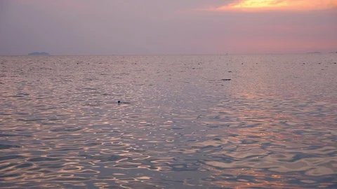 Seascape, red dramatic sunset on the sea. the sun colors the sea red. Stock-Footage 99863476
