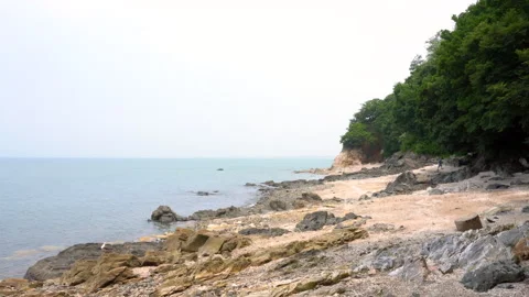 Seascape with rocks and trees Stock Footage 335550899