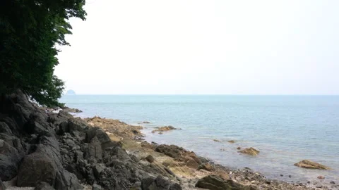 Seascape with rocks and trees Stock Footage 335550903