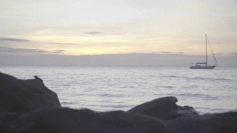 Seascape with sailboat in the evening Stock Footage 83369788