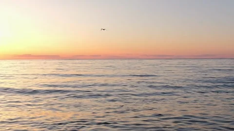 Seascape. Sea at sunset. Stock Footage 317556070