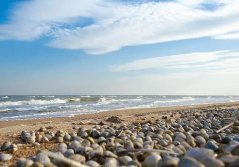 Seascape with seashells in the foreground Stock Photos