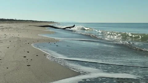 Seascape in slow motion. waves with sun reflections and fine sand Stock Footage 265081950