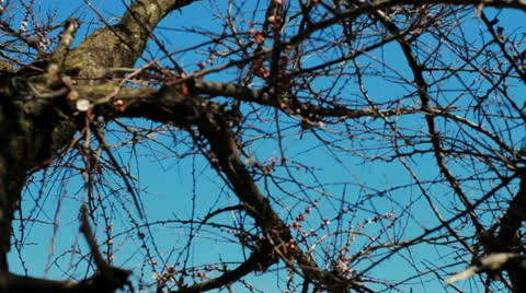 Seascape in spring Stock Footage 22681072