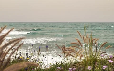 Seascape in spring Stock Photos