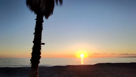 Seascape Summer Sunset. Burning Sky and Shining Golden Waves. Sunset Sea 4k. Stock Footage 195936215