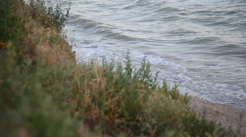 Seascape at sunrise Stock Footage 65191143