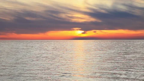 Seascape sunset with dolphins Stock Footage 89588132