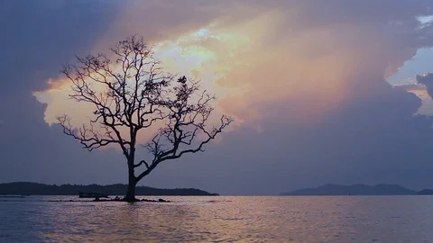 Seascape sunset 스톡 동영상 85618452