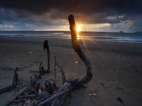 Seascape sunset  Video stock 113031195