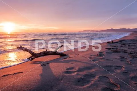 Seascape at sunset with a trunk on the shore Stock Photos