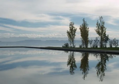 Seascape with trees reflected in water Stock Photos