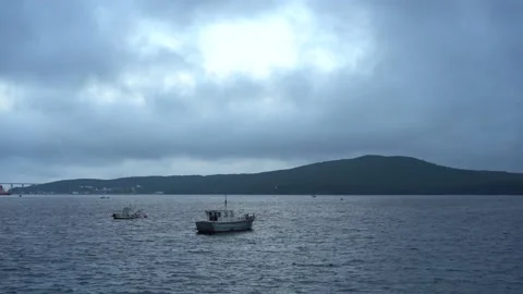 Seascape with a view of the Russian bridge. Stock Footage 136983069