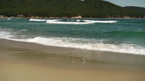 Seascape with a view of the sandy beach Stock Footage 154444243