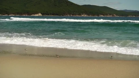 Seascape with a view of the sandy beach Stock Footage 154445476