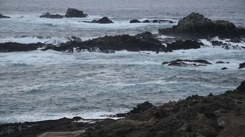 Seascape with waves and rocks Stock Footage 101487066