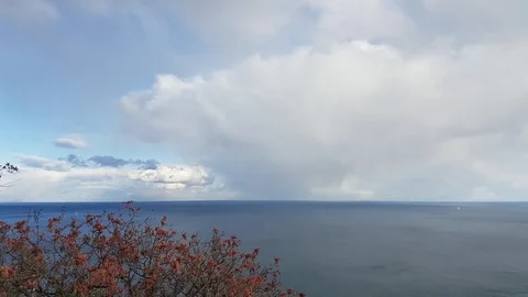    Seascape on white cloud background Stock Footage 81742487