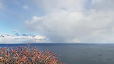 Seascape on white cloud background Stock Footage 81742662