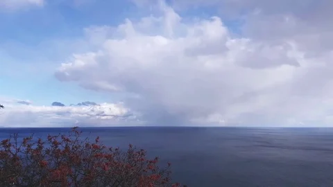 Seascape on white cloud background Stock Footage 81742693