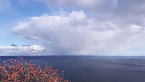 Seascape on white cloud background Stock Footage 81742777