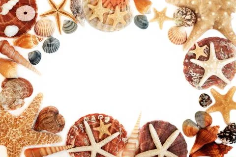 Seashell Abstract Background Border Stock Photos