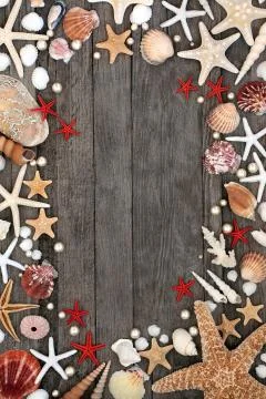 Seashell Abstract Background Border Stock Photos