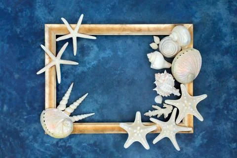 Seashell Abstract Decorative Gold Frame 库存照片