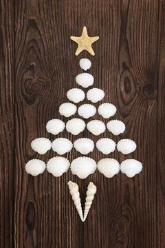 Seashell Abstract Surreal Tree Shape Stock Photos