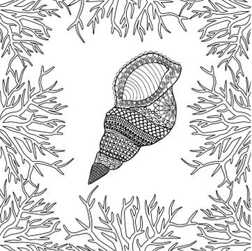 Seashell and corals isolated on white background Stock Illustration